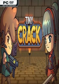 Tiny Crack-GoldBerg